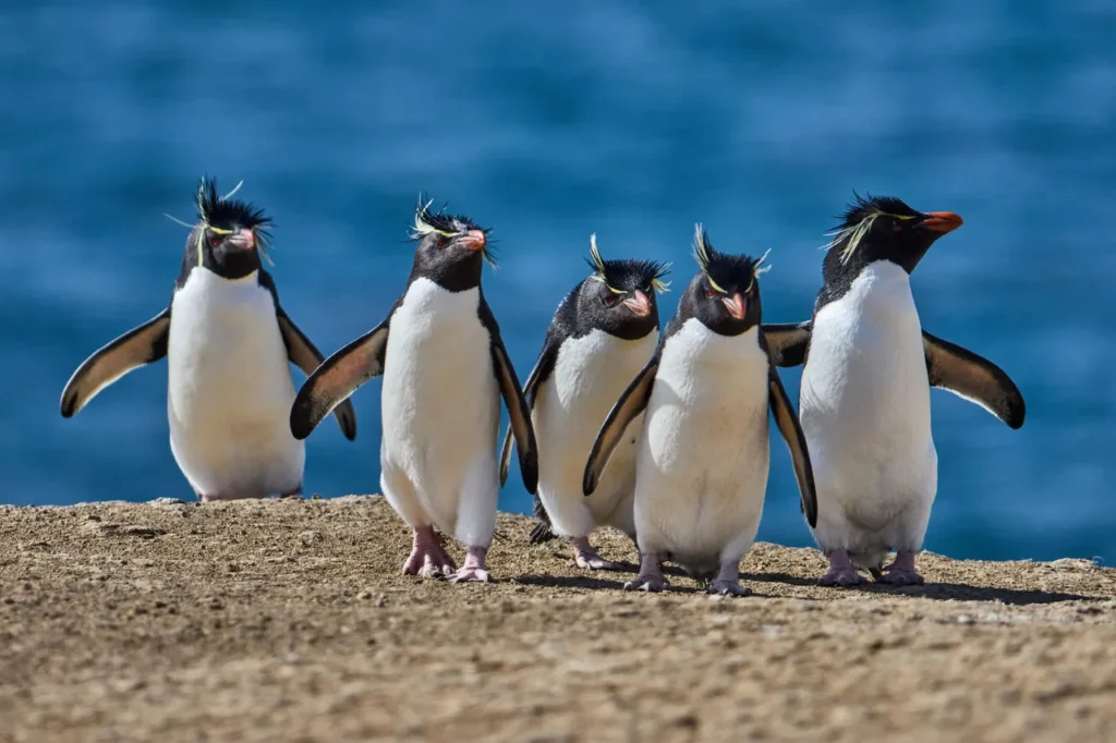 The 5 most customizable Linux desktop environments – when you want it your way