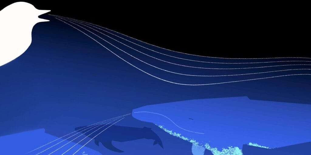 Google’s Foundation Model Decodes Whale and Bird Calls